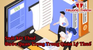 soát xét thuế